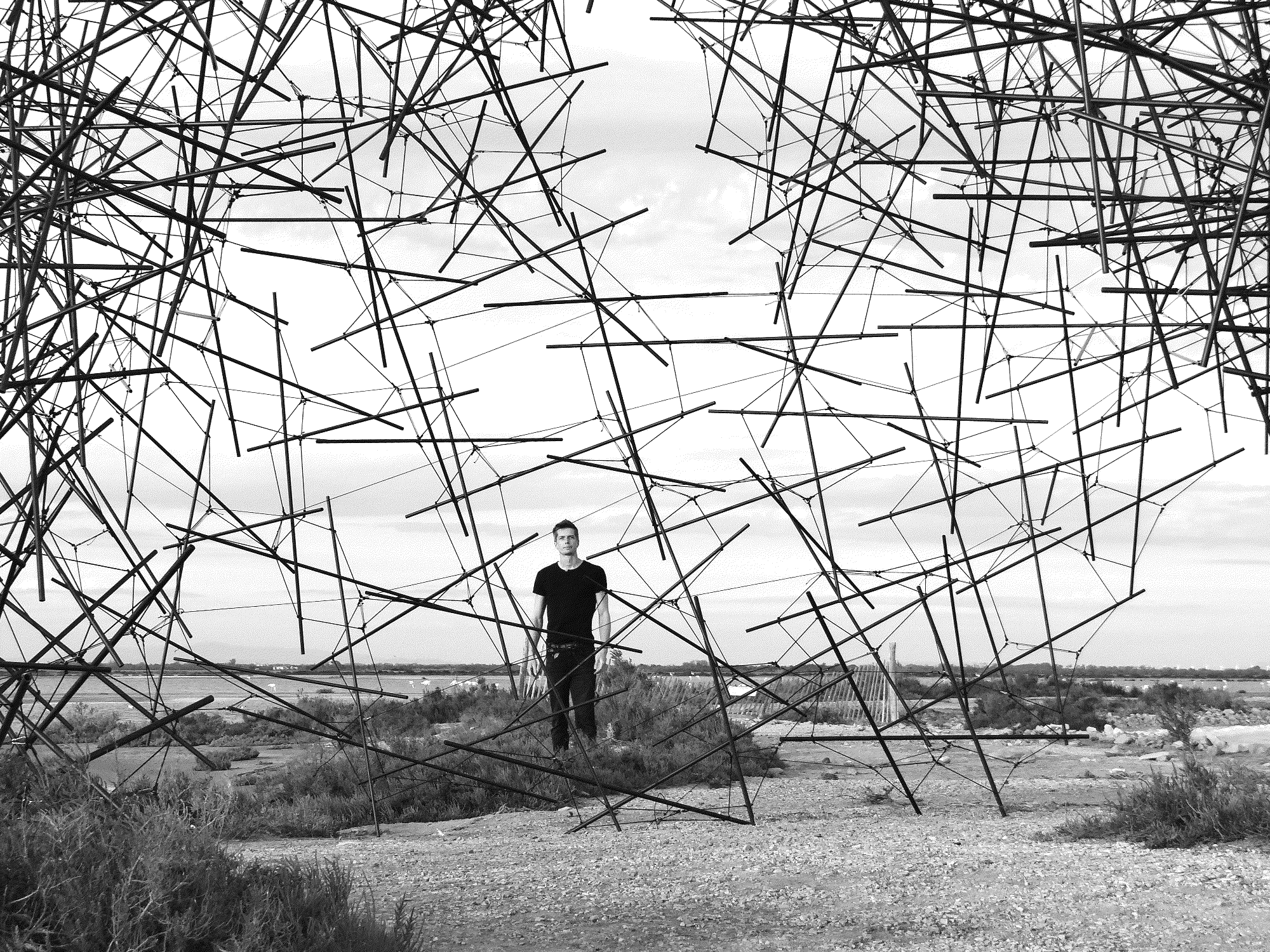 Ludovic_Regnault_Murmuration_2, 2024, Carbon Fiber & Polypropylene